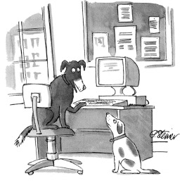 On the internet nobody knows you are a dog